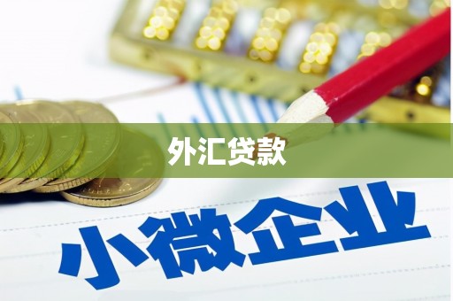 新津外汇贷款