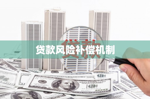 新津贷款风险补偿机制