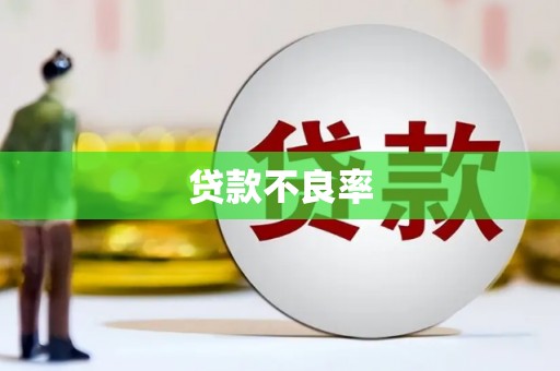 新津贷款不良率