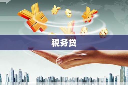 新津税务贷