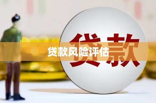 新津贷款风险评估