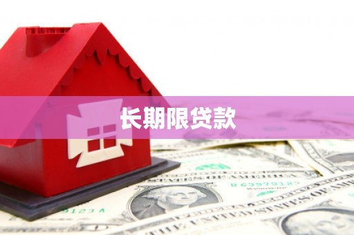 新津长期限贷款