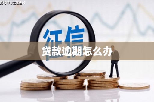 新津贷款逾期怎么办