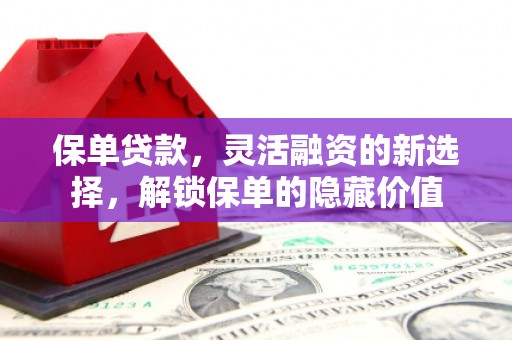 新津保单贷款，灵活融资的新选择，解锁保单的隐藏价值