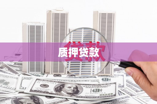 新津质押贷款