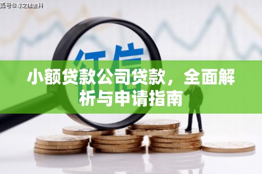 新津小额贷款公司贷款，全面解析与申请指南