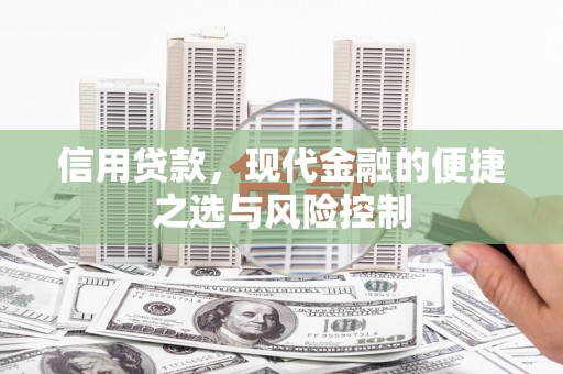 新津信用贷款，现代金融的便捷之选与风险控制