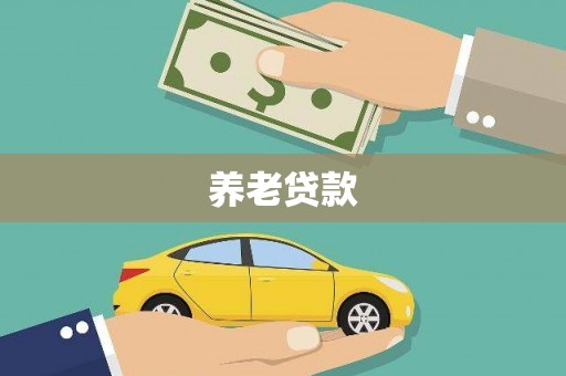 新津养老贷款