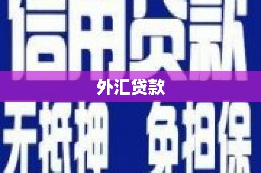 新津外汇贷款