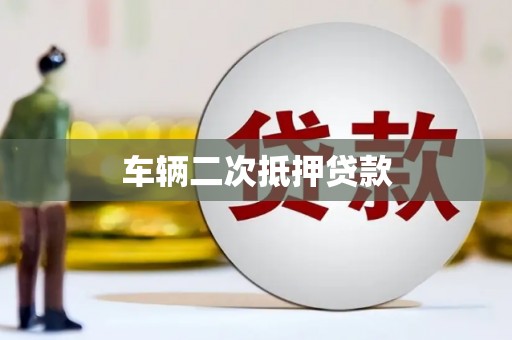 新津车辆二次抵押贷款