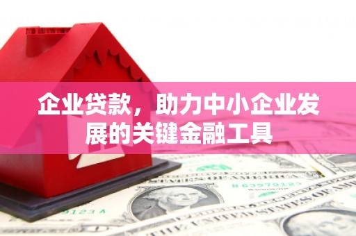 新津企业贷款，助力中小企业发展的关键金融工具