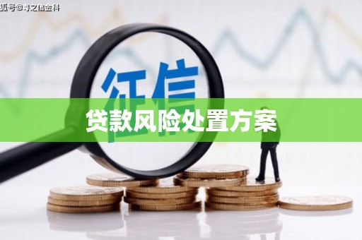 新津贷款风险处置方案