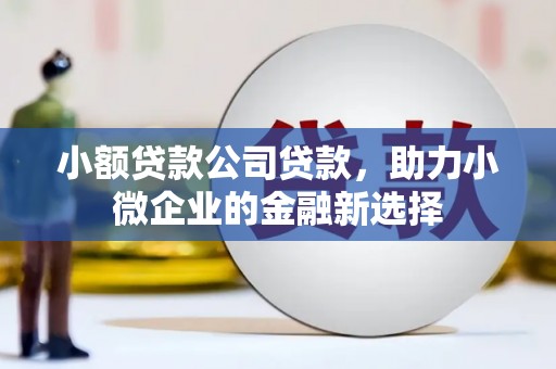 新津小额贷款公司贷款，助力小微企业的金融新选择