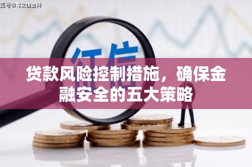新津贷款风险控制措施，确保金融安全的五大策略