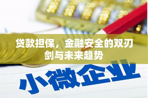 新津贷款担保，金融安全的双刃剑与未来趋势