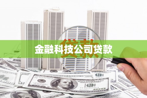 新津金融科技公司贷款