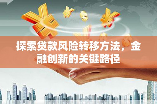 新津探索贷款风险转移方法，金融创新的关键路径