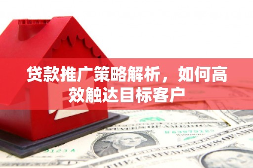 新津贷款推广策略解析，如何高效触达目标客户