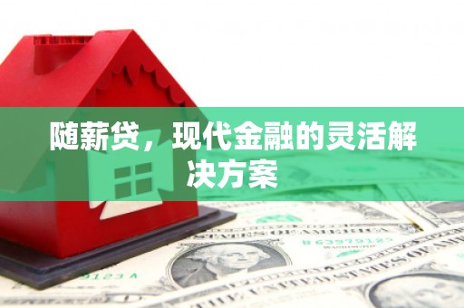 新津随薪贷，现代金融的灵活解决方案