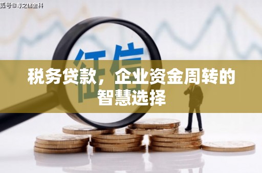 新津税务贷款，企业资金周转的智慧选择