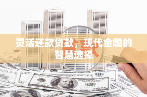 新津灵活还款贷款，现代金融的智慧选择