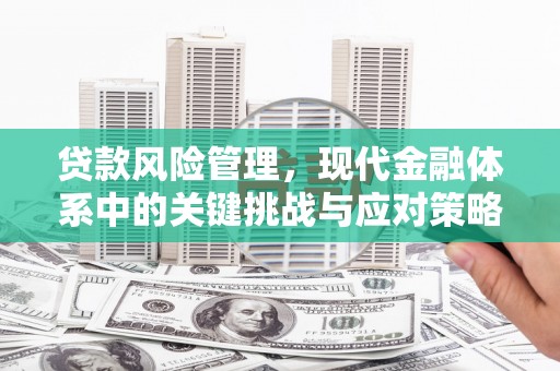 新津贷款风险管理，现代金融体系中的关键挑战与应对策略