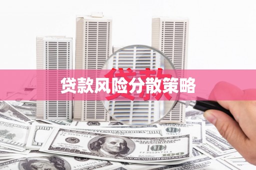 新津贷款风险分散策略