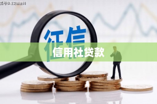 新津信用社贷款