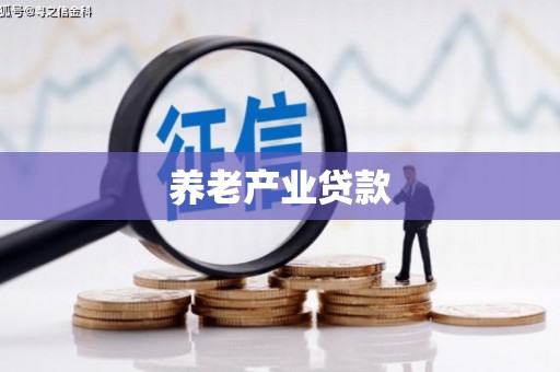 新津养老产业贷款