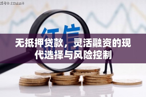 新津无抵押贷款，灵活融资的现代选择与风险控制