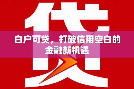 新津白户可贷，打破信用空白的金融新机遇