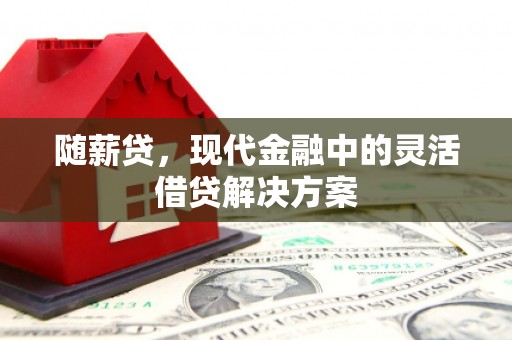 新津随薪贷，现代金融中的灵活借贷解决方案