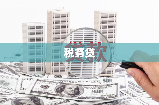 新津税务贷