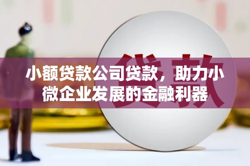 新津小额贷款公司贷款，助力小微企业发展的金融利器