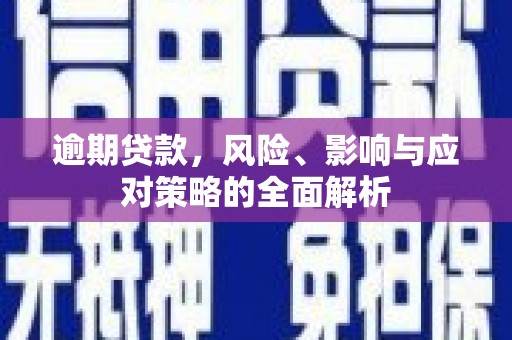 新津逾期贷款，风险、影响与应对策略的全面解析