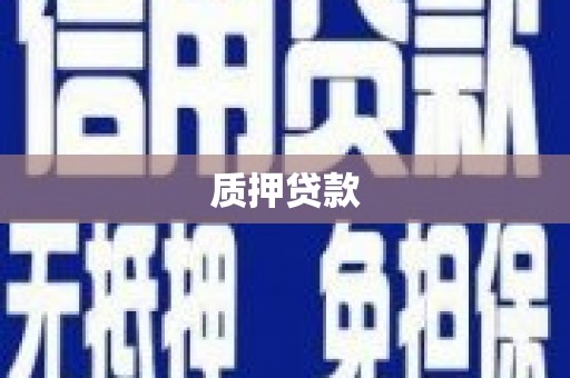 新津质押贷款