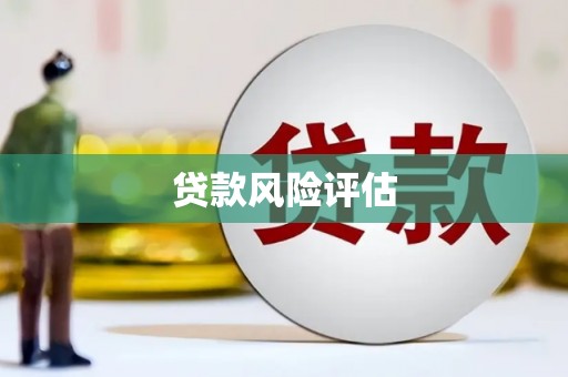 新津贷款风险评估