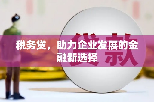新津税务贷，助力企业发展的金融新选择