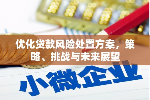 新津优化贷款风险处置方案，策略、挑战与未来展望