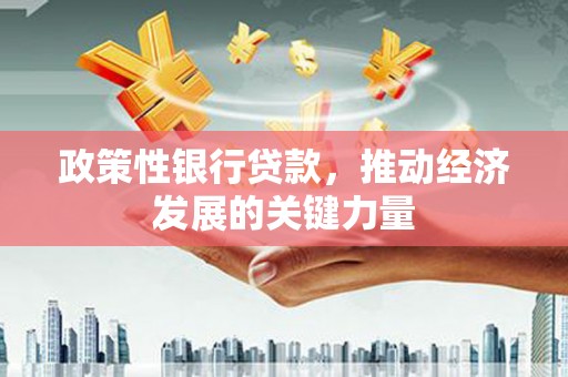 新津政策性银行贷款，推动经济发展的关键力量
