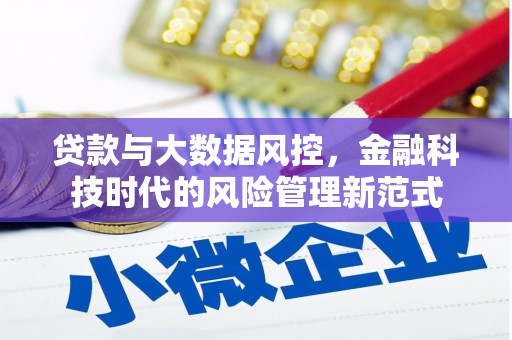 新津贷款与大数据风控，金融科技时代的风险管理新范式