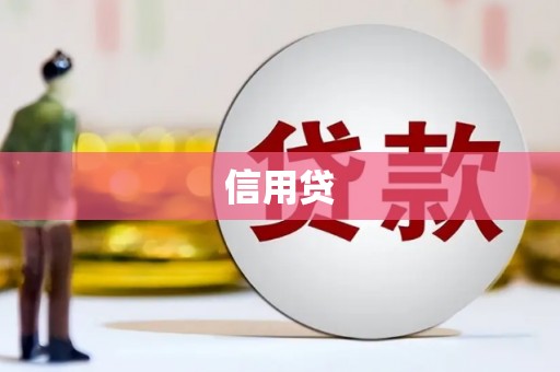 新津信用贷