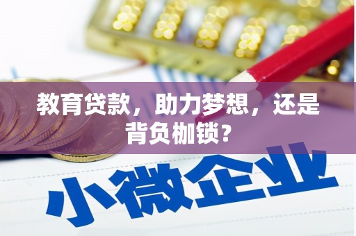 新津教育贷款，助力梦想，还是背负枷锁？