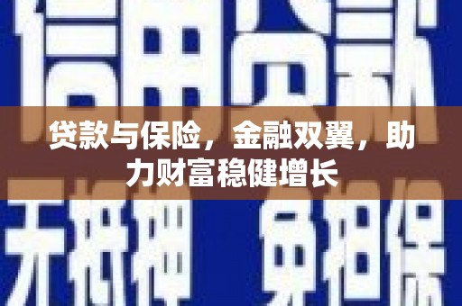 新津贷款与保险，金融双翼，助力财富稳健增长
