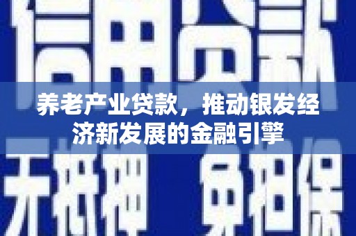 新津养老产业贷款，推动银发经济新发展的金融引擎