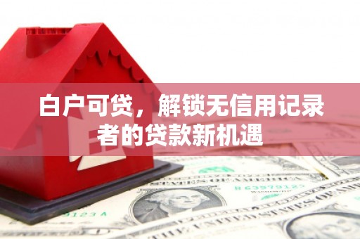 新津白户可贷，解锁无信用记录者的贷款新机遇