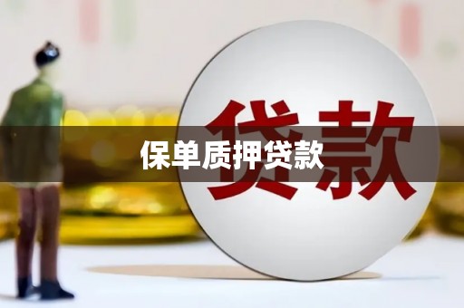 新津保单质押贷款