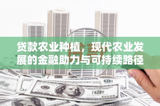 新津贷款农业种植，现代农业发展的金融助力与可持续路径
