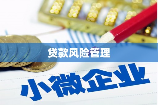新津贷款风险管理