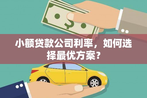 新津小额贷款公司利率，如何选择最优方案？